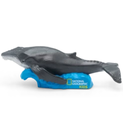 National Geographic Kids: Whale Tonie -Angebote Tonies Store Tonies PDP Assets natgeo whale transparent
