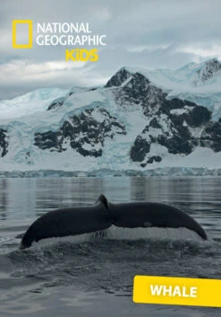 National Geographic Kids: Whale Tonie -Angebote Tonies Store tonies pdp assets natgeo whale cover